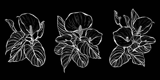 hand drawn floral decoration - Vector, Image