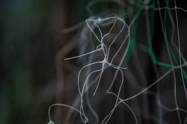 カオス、不明瞭で不均一な、ボケで渦巻いたラインを持つプラスチックプロオオカミからの抽象的な灰色緑色の背景. - 写真・画像