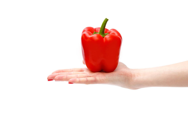 Fresh red sweet pepper or bell peppers in hand of a womam, isolated and dicut with clipping path on white background, copy space. - Photo, image