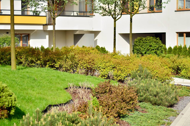 Arbusti ornamentali e piante vicino a una casa di città residenziale
 - Foto, immagini