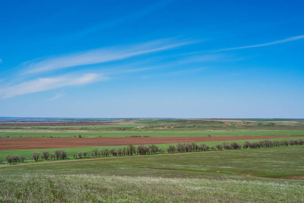 Beautiful picturesque spring landscape with green steppe - Photo, Image
