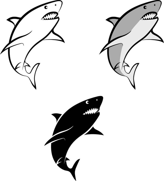 haai - Vector, afbeelding