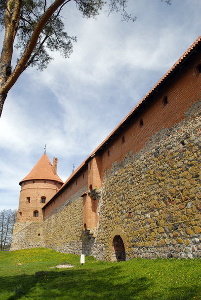 Old castle - Zdjęcie, obraz