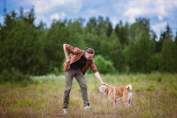 Portrait of a Shar pei breed dog and a man on a walk in a meadow - Photo, Image
