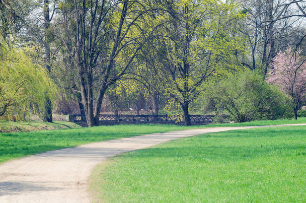 Path between trees in spring city park - Foto, afbeelding