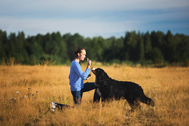 young man walking with Bernese Mountain Dog on the summer field - Photo, Image