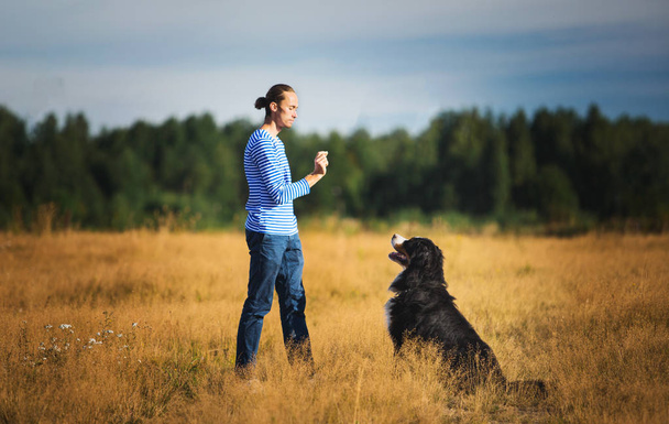 young man walking with Bernese Mountain Dog on the summer field - Fotografie, Obrázek