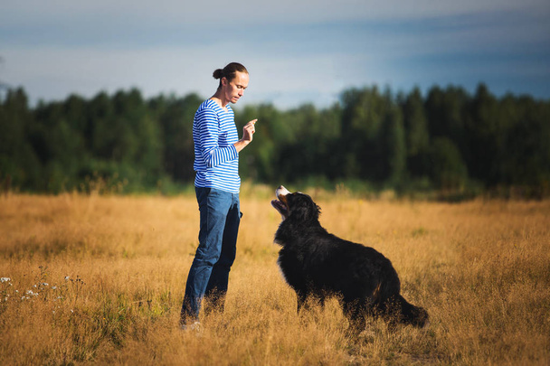 young man walking with Bernese Mountain Dog on the summer field - Zdjęcie, obraz