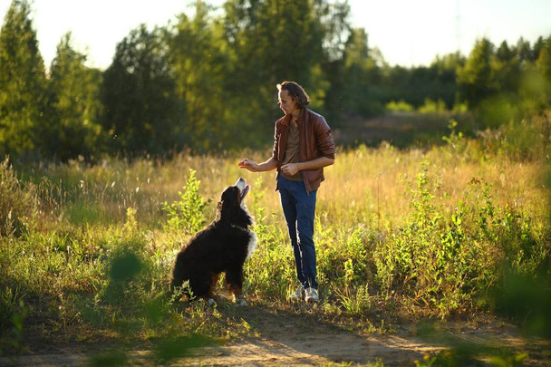 young man walking with Bernese Mountain Dog on the summer field - Foto, Imagen