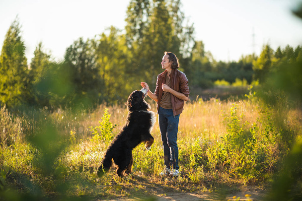 young man walking with Bernese Mountain Dog on the summer field - Fotoğraf, Görsel