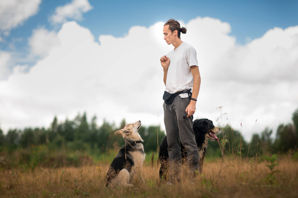 young man walking with Bernese Mountain Dog on the summer field - Foto, Imagen