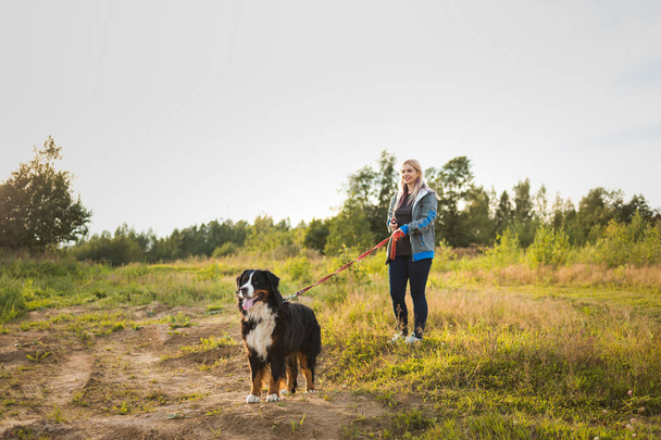 Young woman walking with Bernese Mountain Dog on the summer field - Photo, image