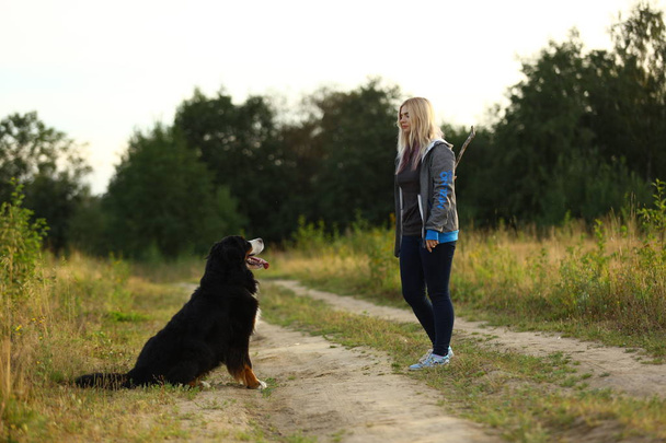 young woman walking with Bernese Mountain Dog on the summer field - Fotografie, Obrázek