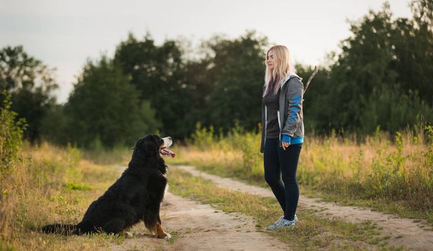 young woman walking with Bernese Mountain Dog on the summer field - Фото, изображение