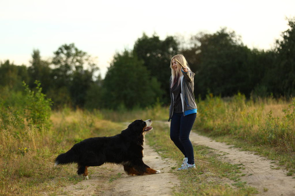 young woman walking with Bernese Mountain Dog on the summer field - Fotó, kép
