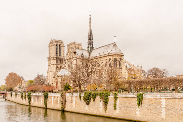 Blick auf die unbeschädigte Ostfassade von Notre Dame de Paris in herbstlichen Farben vor der Renovierung und dem Brand, Paris, Frankreich - Foto, Bild