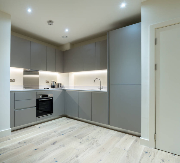 Moderni harmaa rakennettu keittiö ja laitteet modernissa huoneistossa
 - Valokuva, kuva