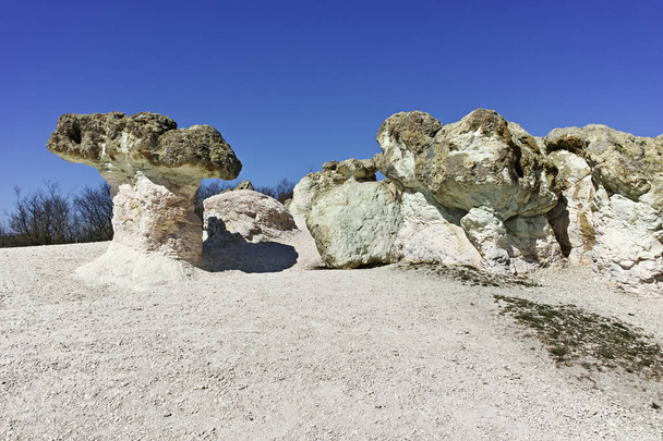 Paisaje con formación rocosa Los hongos de piedra cerca del pueblo Beli plast, región de Kardzhali, Bulgaria - Foto, Imagen