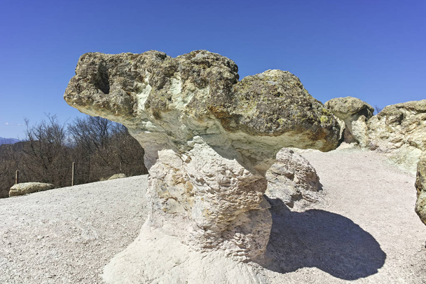 Paisagem com formação rochosa Os cogumelos de pedra perto de Beli plast village, Kardzhali Region, Bulgaria - Foto, Imagem