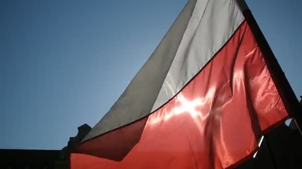 Polish flag close up waving on wind - Felvétel, videó