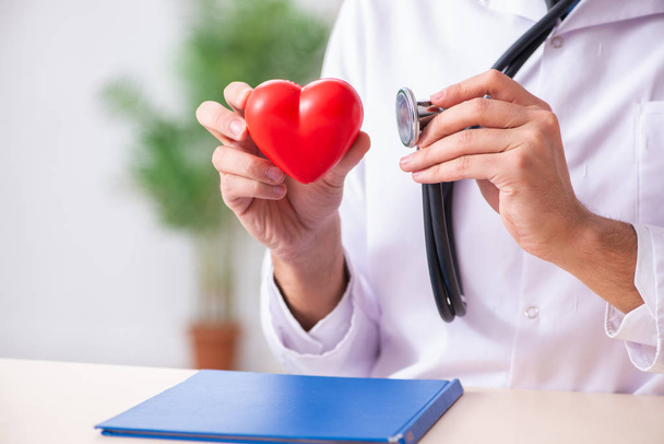 Male doctor cardiologist holding heart model  - Photo, Image
