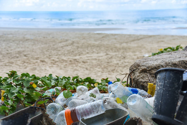 problème environnemental de la pollution des déchets plastiques dans l'océan
 - Photo, image