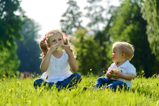 Little boy and girl eating apples on picnic in park - 写真・画像