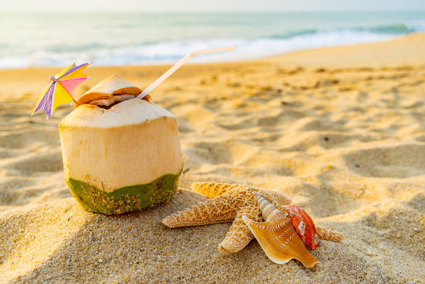 Coconut, seashell and Starfish  at the tropical beach - Foto, Imagen