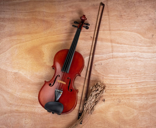 El clásico violín y arco puesto junto a flor seca, jabalí de madera
 - Foto, Imagen