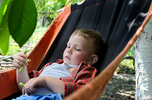 Small boy relaxing in a hammock - Photo, Image