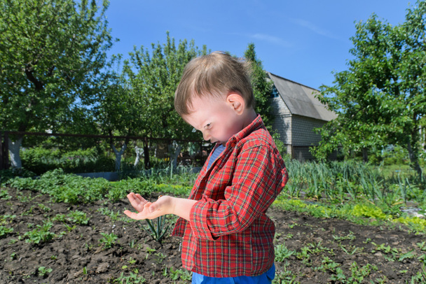 Цікавий маленький хлопчик грає з комахою
 - Фото, зображення