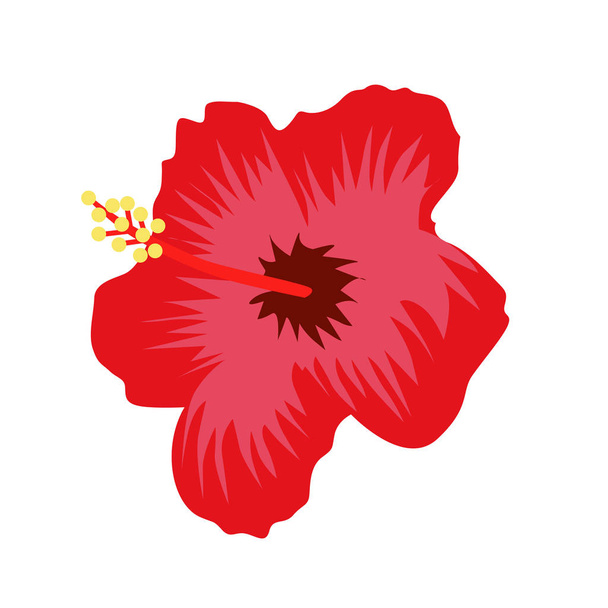 Illustration vectorielle de fleur d'hibiscus d'été exotique
 - Vecteur, image