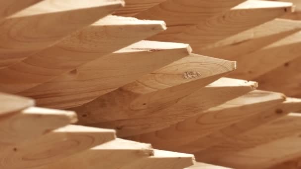 Postes redondos de madera después del procesamiento de madera. Troncos afilados de madera en estantes
 - Metraje, vídeo