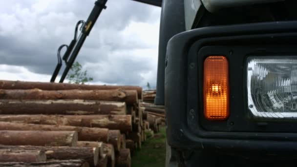 moderner Holzfäller, der im Sägewerk arbeitet. Kraftvoller Baumfäller hebt Baumstämme - Filmmaterial, Video