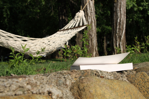 hangmat en boek - Foto, afbeelding