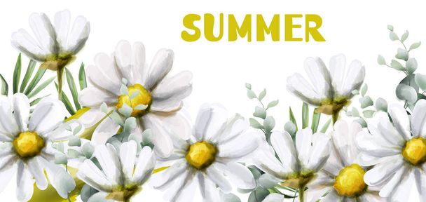 Chamomile summer background Vector watercolor. Vintage flowers white colors. Delicate frame decors - Vektör, Görsel