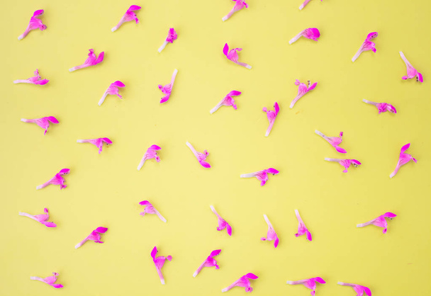 Floral background frame made of pink flowers and purple buds on a yellow background. Flat lay, top view floral background. - 写真・画像