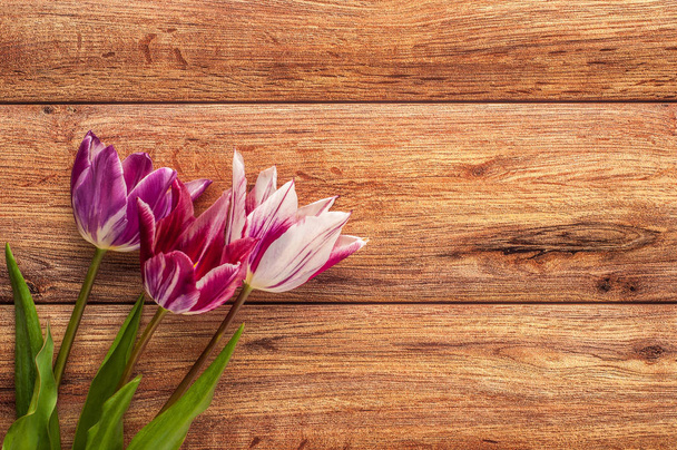 Heller Frühlingsstrauß aus bunten Tulpen auf hölzernem Hintergrund - Foto, Bild