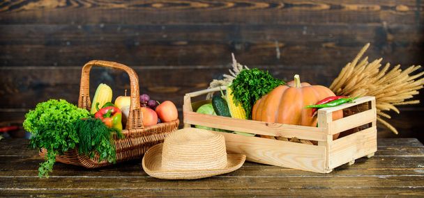 Fresh organic vegetables wicker basket. Fall harvest concept. Autumn harvest crops vegetables. Locally grown natural food. Farmers market. Vibrant and colorful vegetables. Homegrown vegetables - Фото, зображення