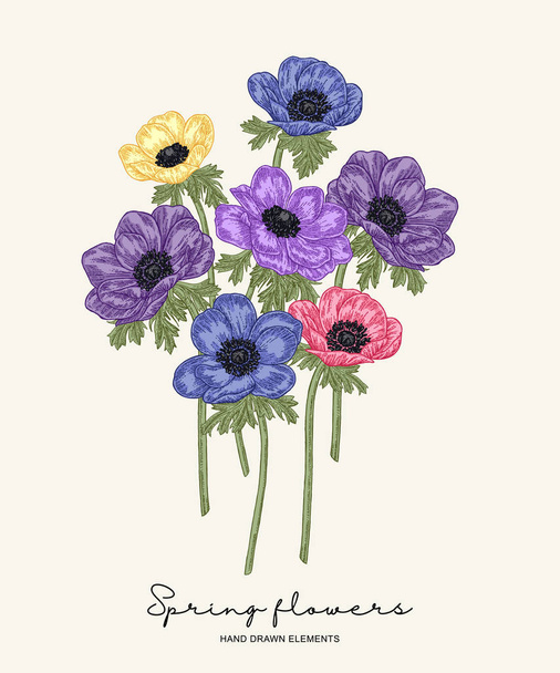 Hand drawn spring flowers. Blue and violet anemones bouquet vector illustration. Vintage botanical style. - Vector, Image