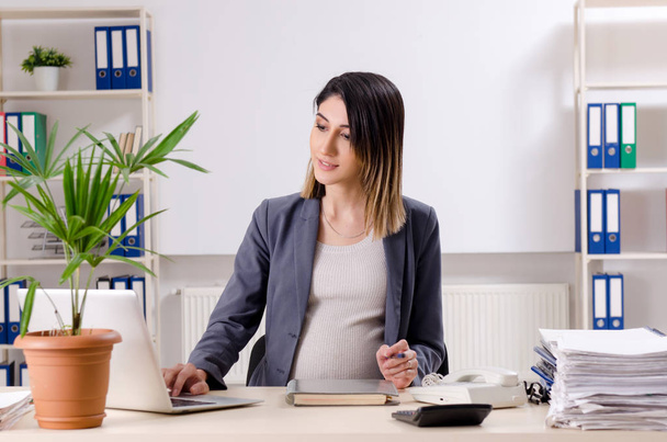 Jeune employée enceinte travaillant au bureau  - Photo, image