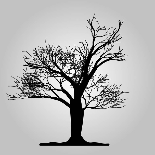Icono del árbol. Símbolo forestal. Signo de web plana sobre fondo blanco. Vector eps10
 - Vector, Imagen