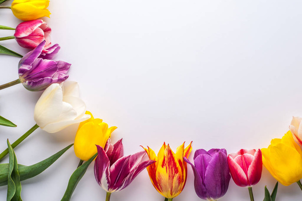 heller Frühling aus bunten Tulpen auf weißem Hintergrund - Foto, Bild