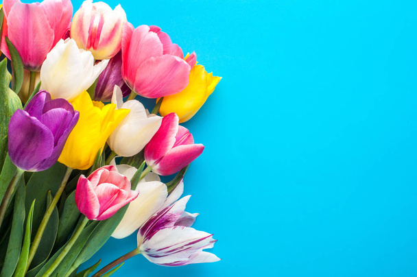 világos tavaszi csokor, többszínű tulipánok kék háttérben - Fotó, kép
