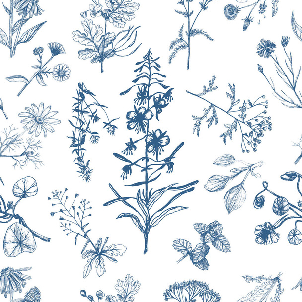 Herbes médicinales motif sans couture indigo
 - Vecteur, image