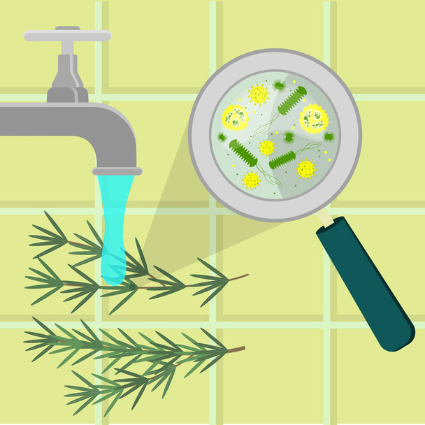 Zanieczyszczona gałąź rozmarynem jest dezynfekowana, czyszczona i myta w kuchni. Drobnoustroje, wirus i bakterie powiększone przez lupę. Kafelki w tle. - Wektor, obraz