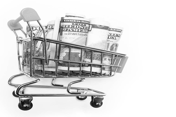 business dollar money in metal basket on a white background - Φωτογραφία, εικόνα