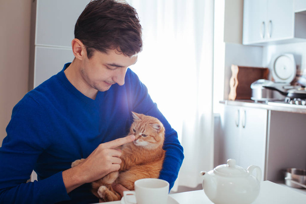 Portrait of handsome young man playing with cat in the kitchen - Фото, зображення
