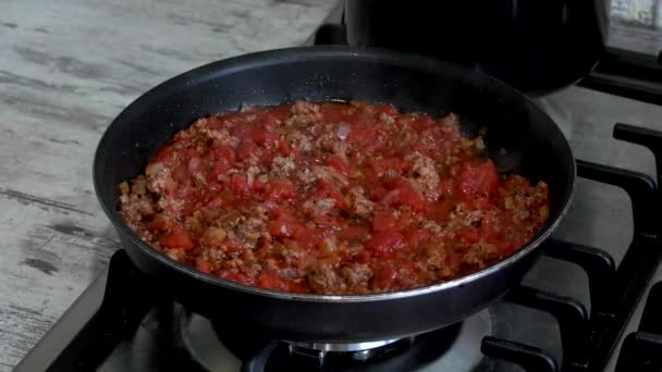 Spaghetti with bolognese sauce, the composition of meat fach, tomatoes, olive oil, herbs, and spaghetti with durum wheat. - Footage, Video