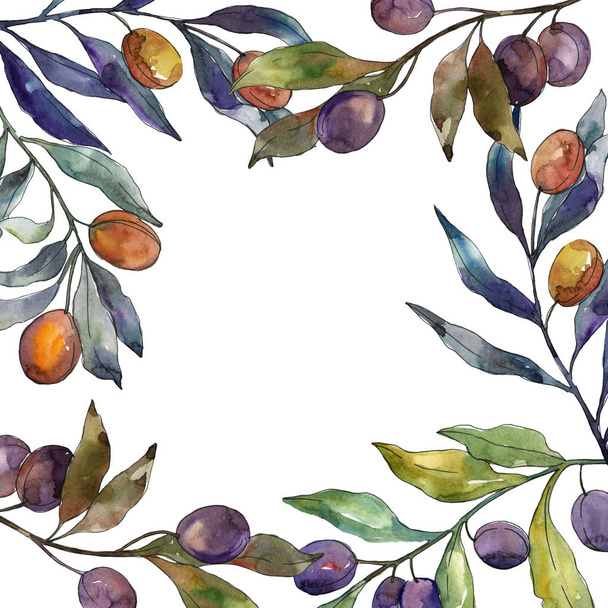 Olive branch with black and green fruit. Watercolor background illustration set. Frame border ornament square. - 写真・画像
